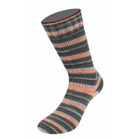 0425 - Dunkelgrau/Aubergine/Hellblau/Mandarin/Lachs